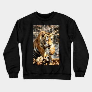 Bengal Tiger Cub Enjoying Water Play Crewneck Sweatshirt